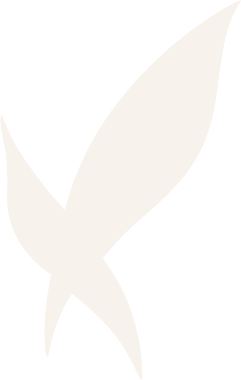 View Plastic Surgery logo